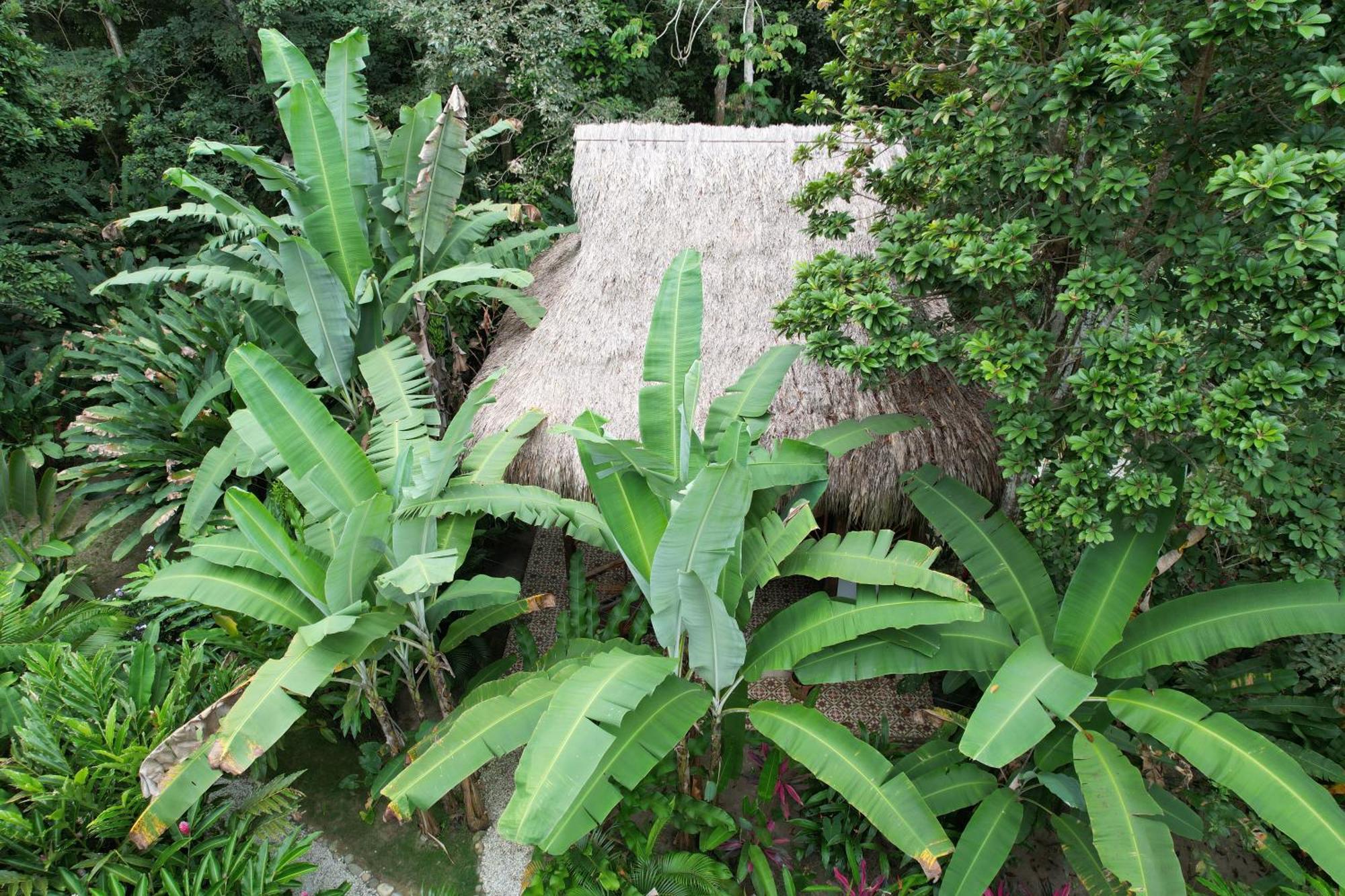 Hotel Salvia Madre Guachaca Esterno foto