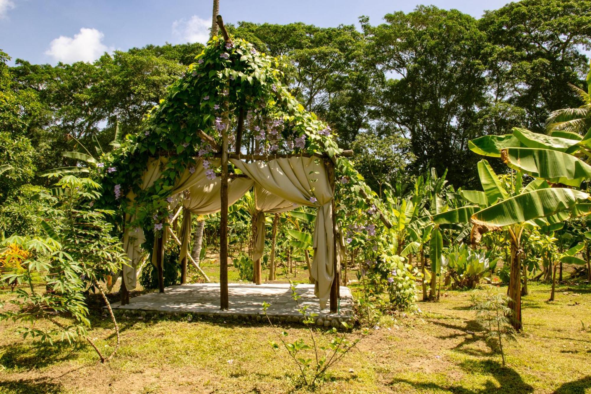 Hotel Salvia Madre Guachaca Esterno foto